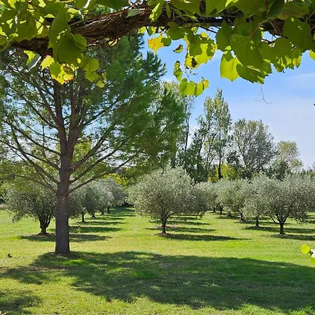 La Ramade 5 & Table D'hotes En Drome Provencale Bed & Breakfast Tulette